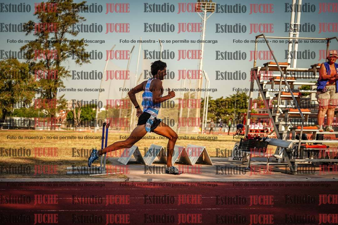 Fotos de los 800 m llanos de varones