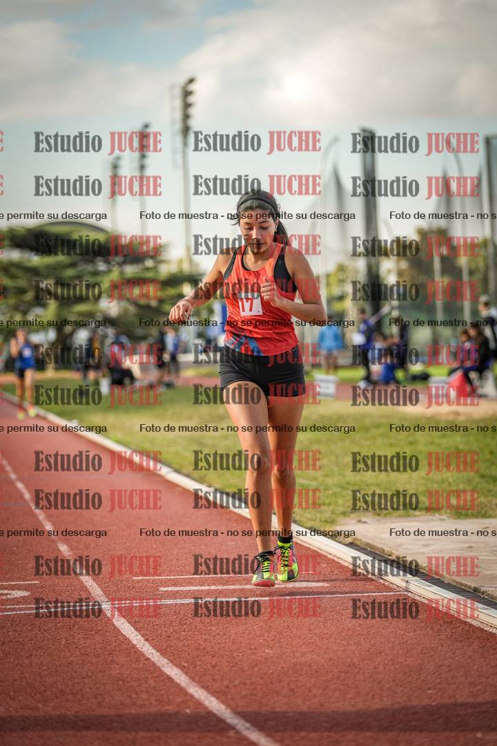 Fotos de los 1500 m llanos de mujeres