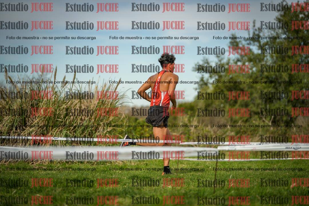 Fotos en el circuito