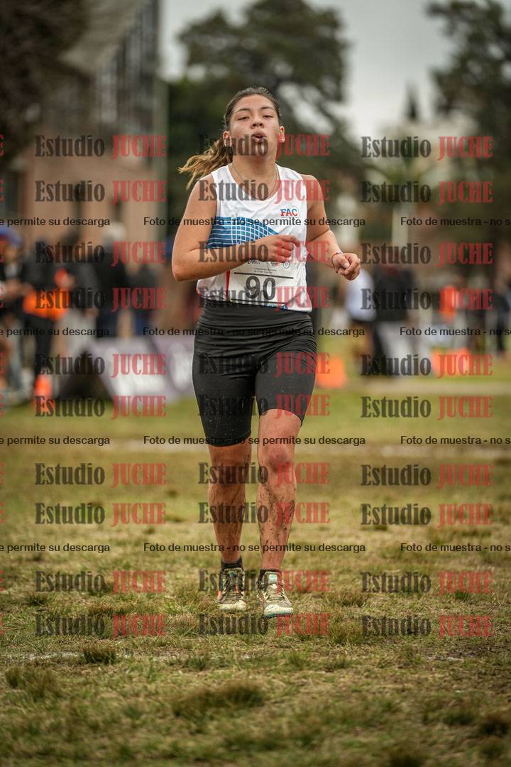 Fotos de la llegada