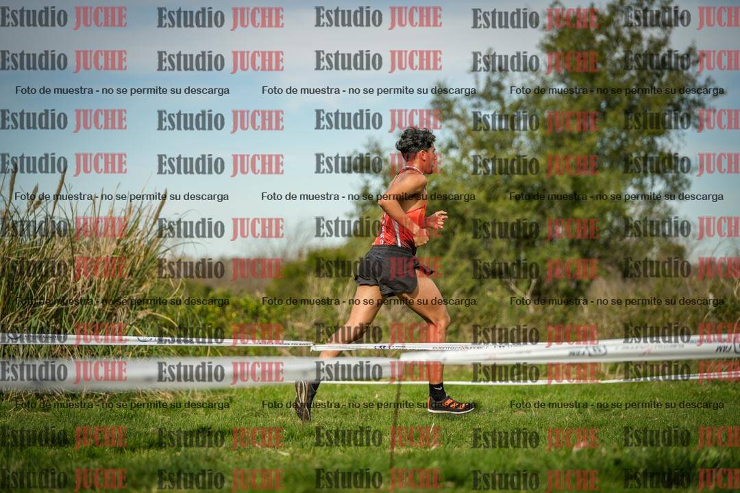 Fotos en el circuito