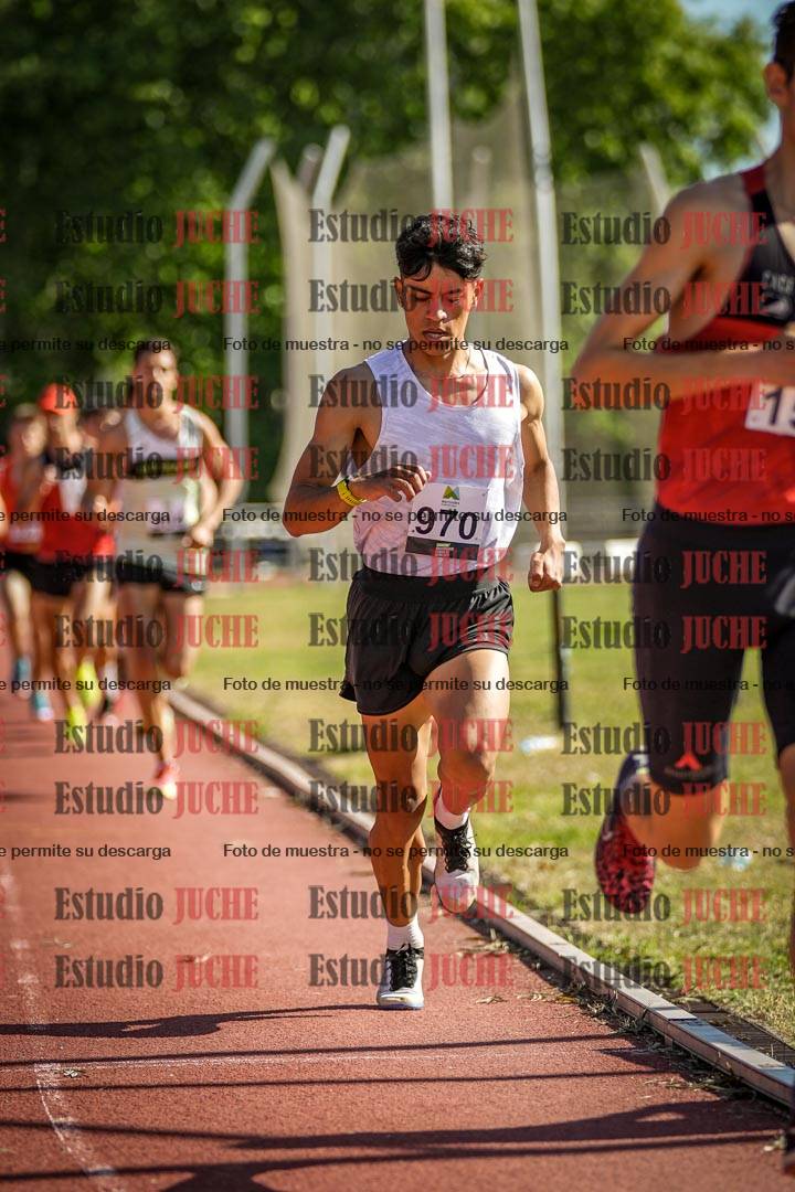 Fotos de los 5000 m llanos de varones