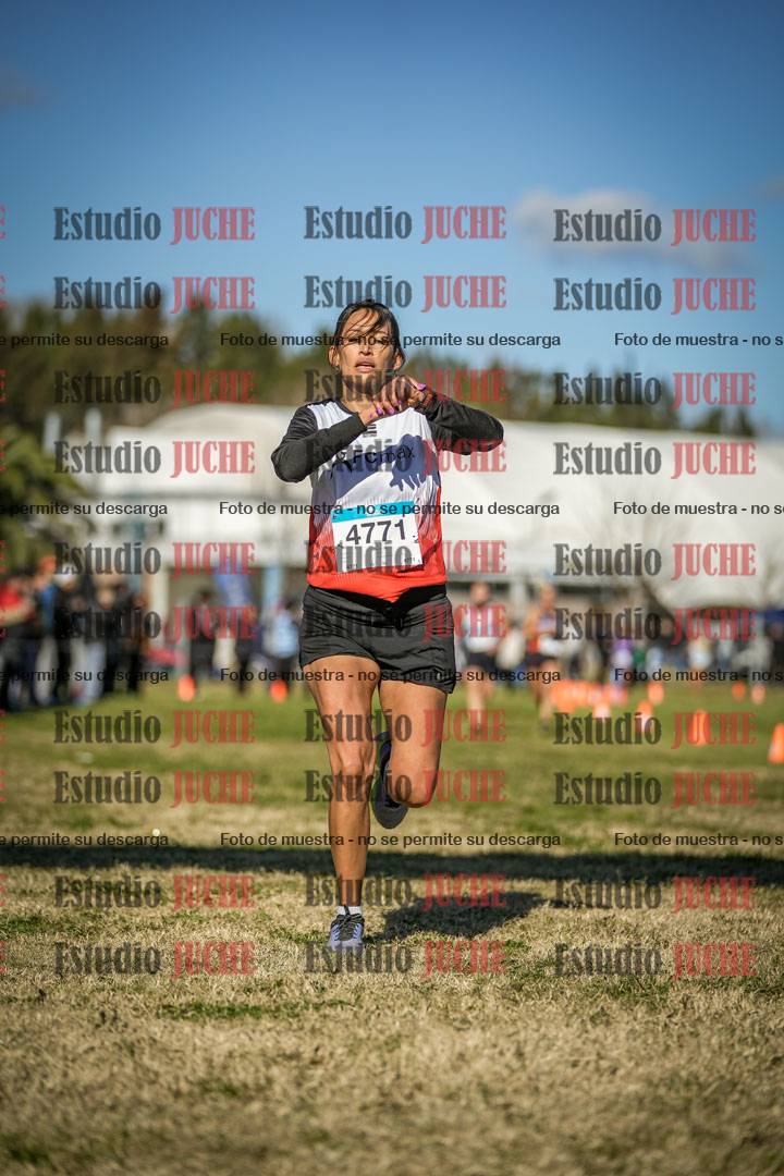 Fotos de las llegadas