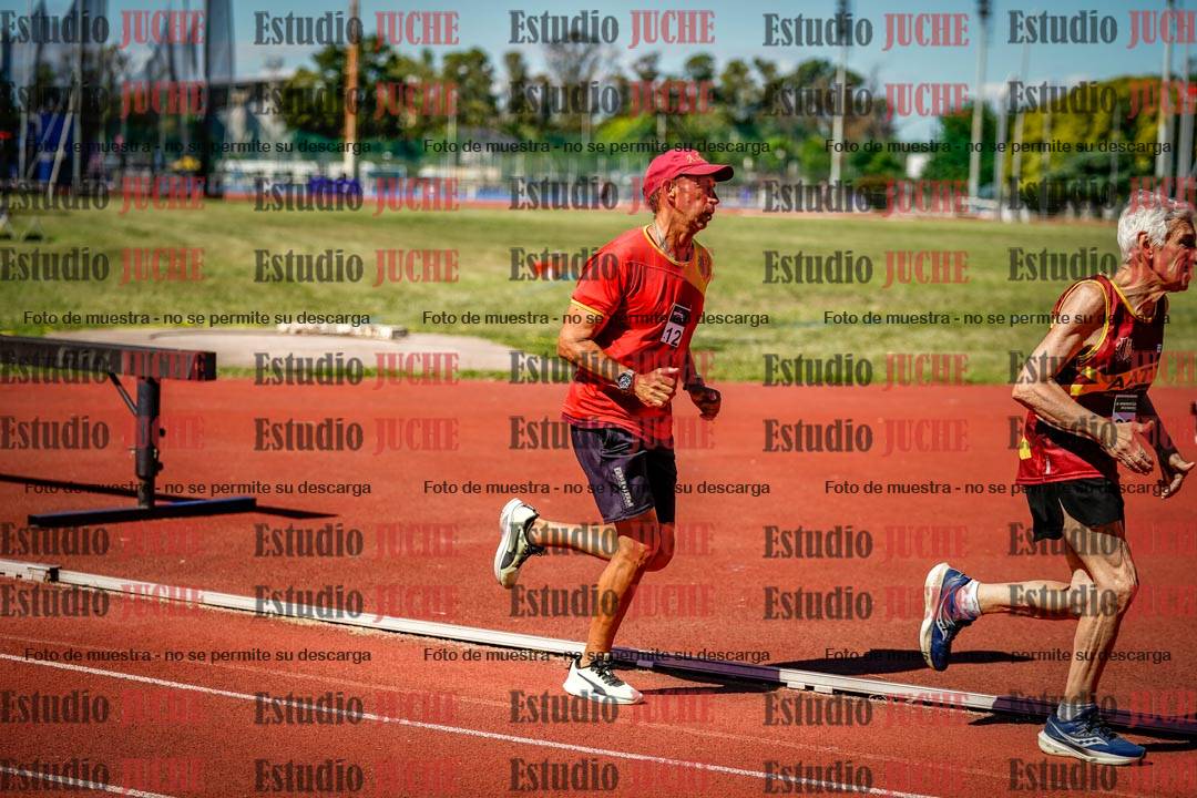 Fotos de los 800 m llanos de varones