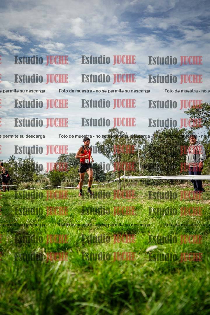 Fotos en el circuito