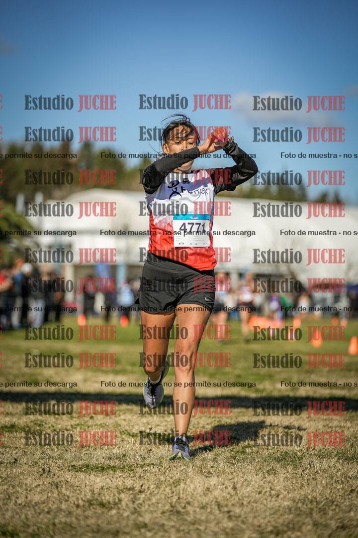 Fotos de las llegadas