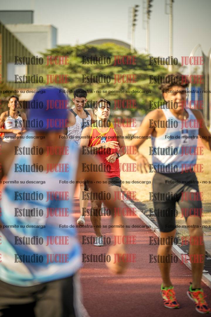 Fotos de los 800 m llanos de varones
