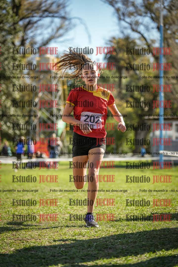 Fotos de la llegada del cross de 1500 m