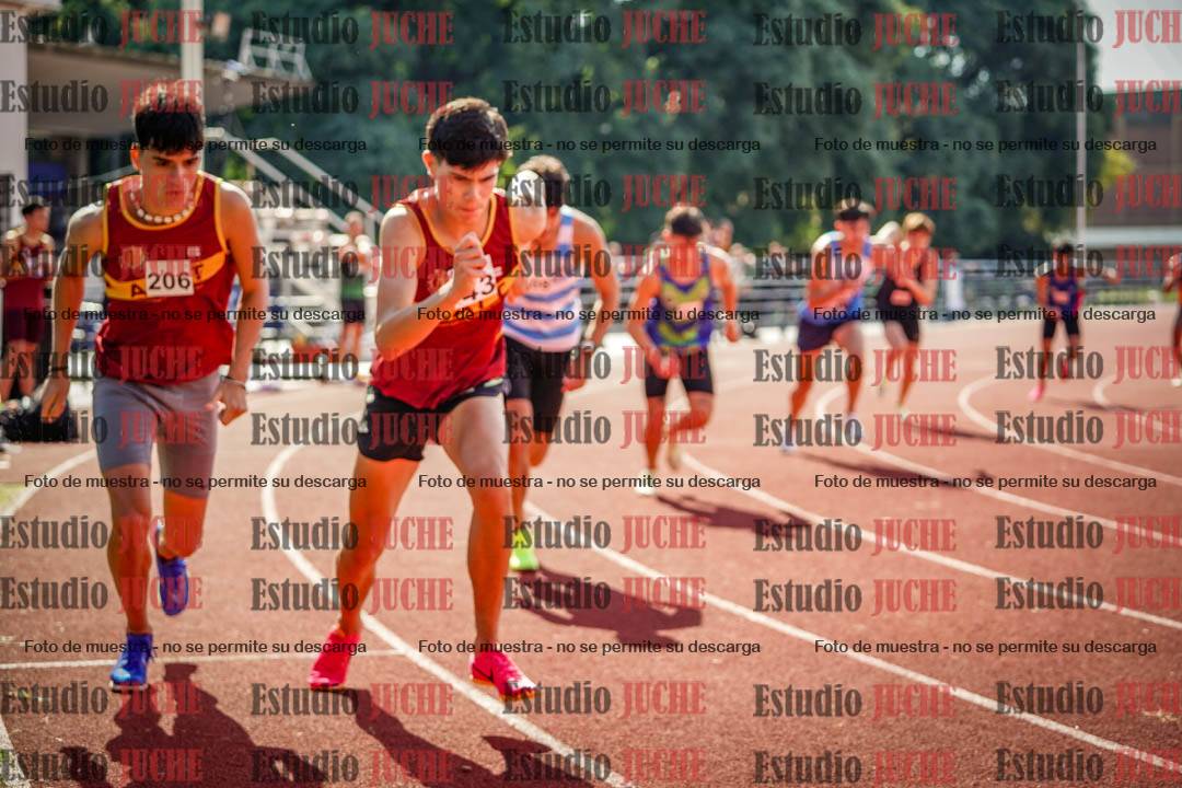 Fotos de los 800 m llanos de varones