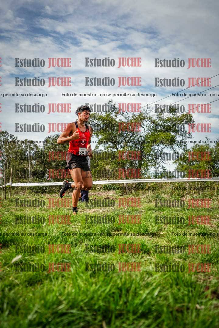 Fotos en el circuito