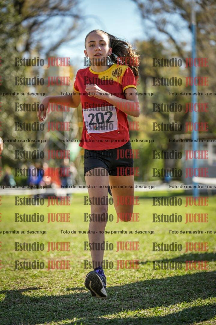 Fotos de la llegada del cross de 1500 m