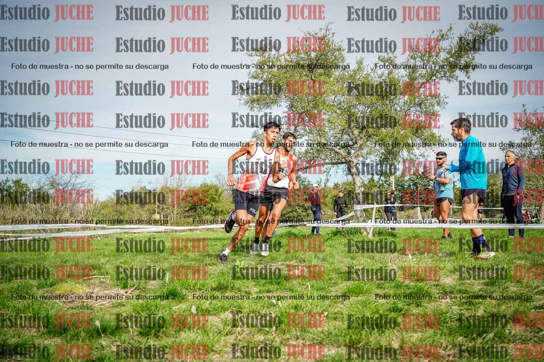 Fotos en el circuito