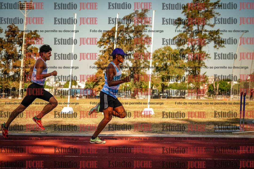 Fotos de los 800 m llanos de varones