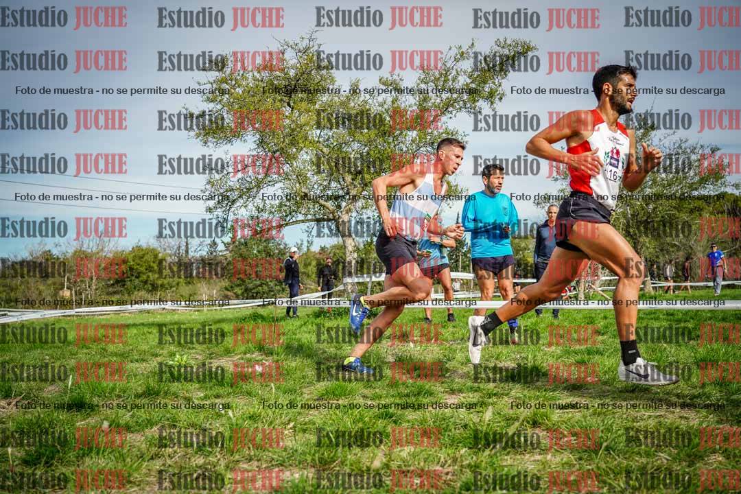 Fotos en el circuito