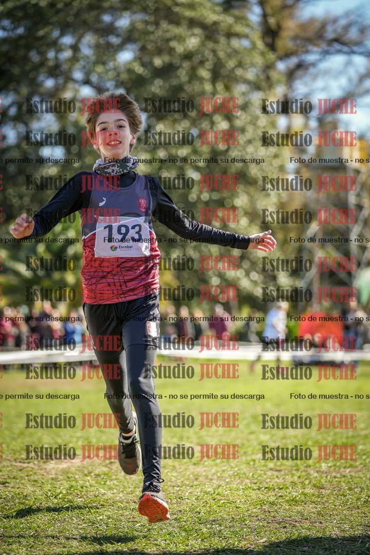 Fotos de la llegada del cross de 1500 m