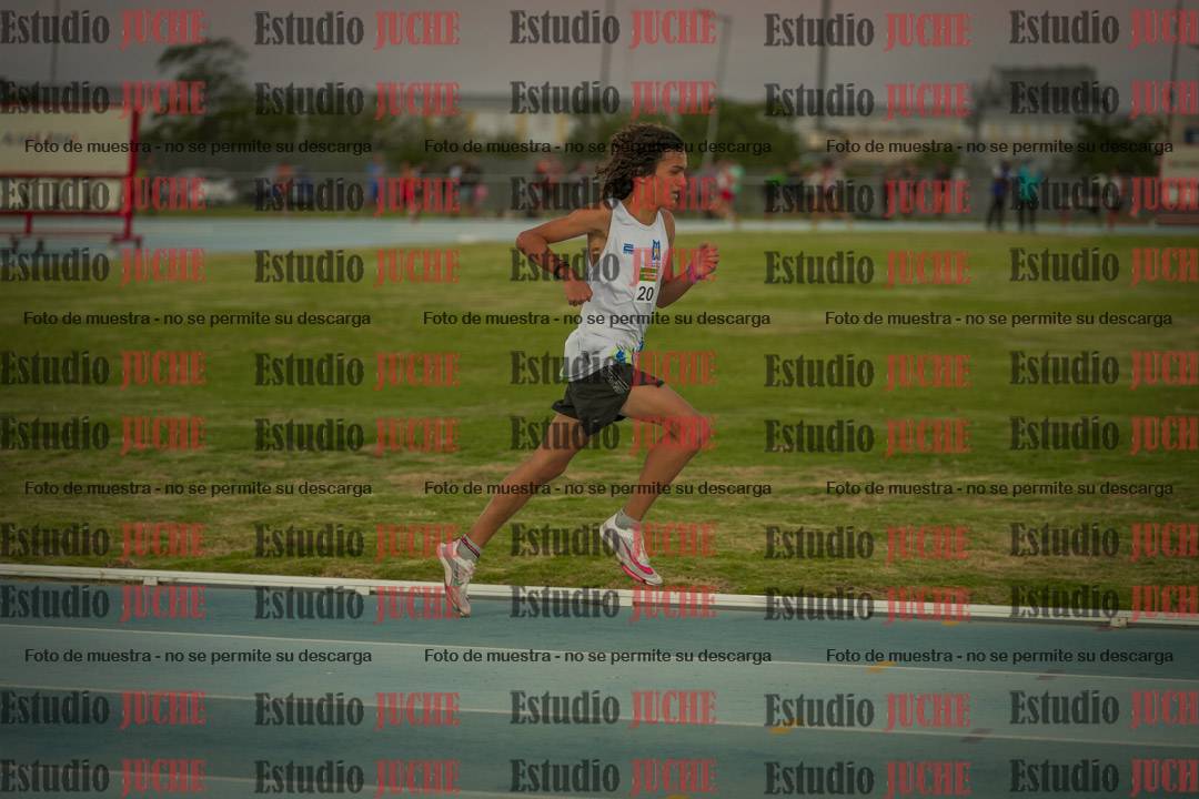 Fotos de los 3000 m llanos de varones