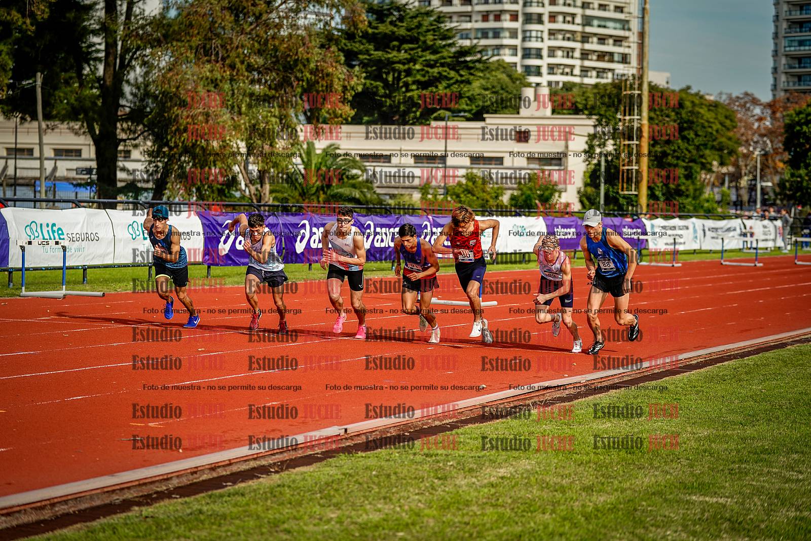 Fotos de los 3000 m con obstáculos de varones