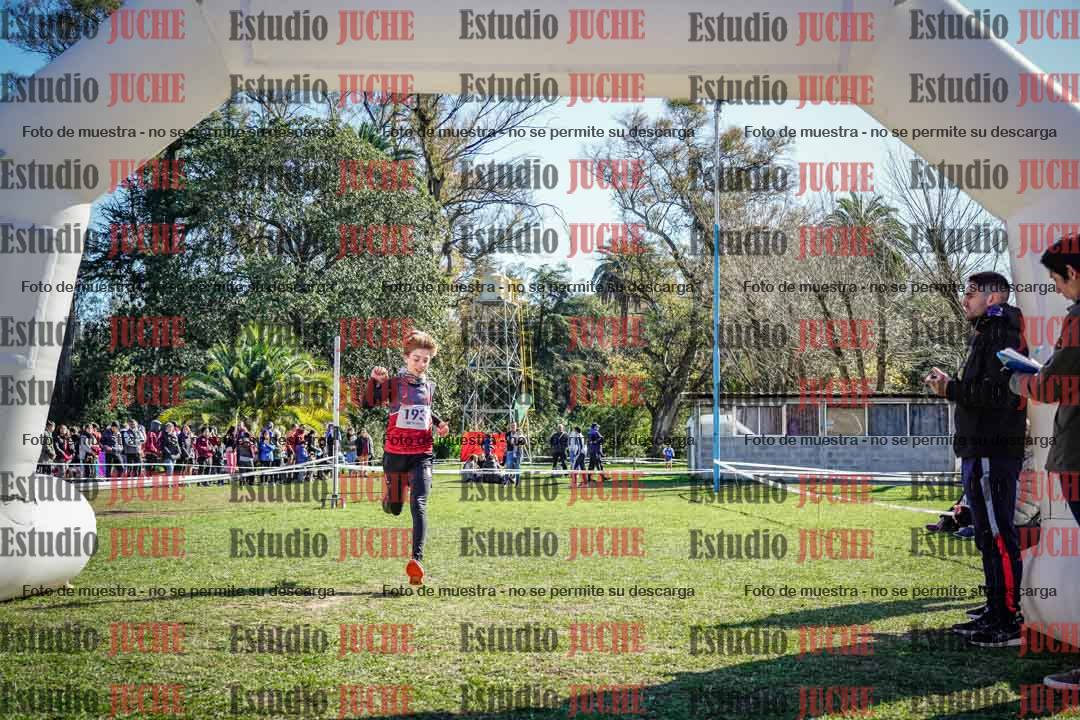 Fotos de la llegada del cross de 1500 m