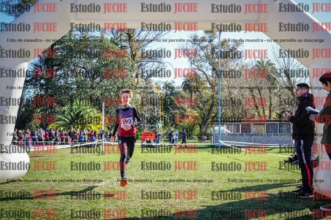 Fotos de la llegada del cross de 1500 m