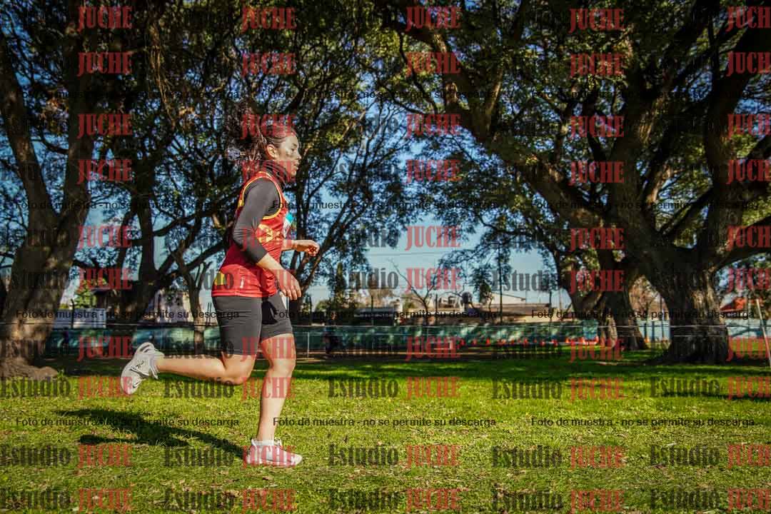 Fotos en el circuito