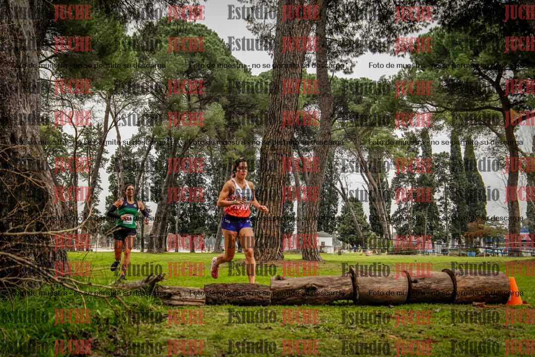 Fotos en el circuito