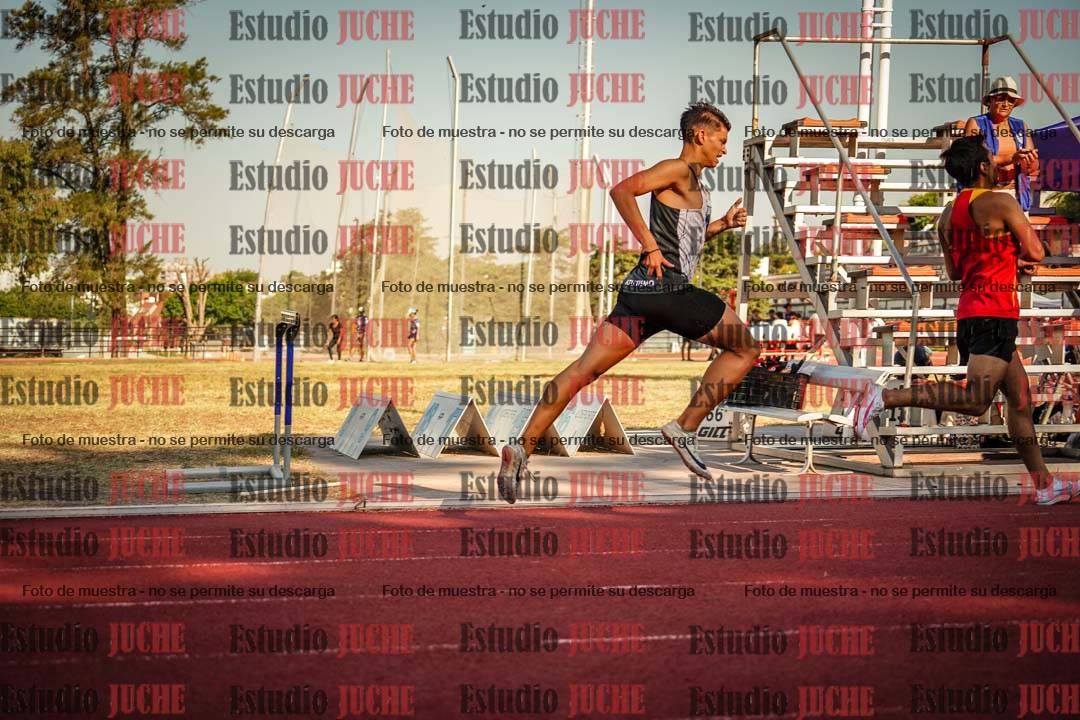 Fotos de los 800 m llanos de varones