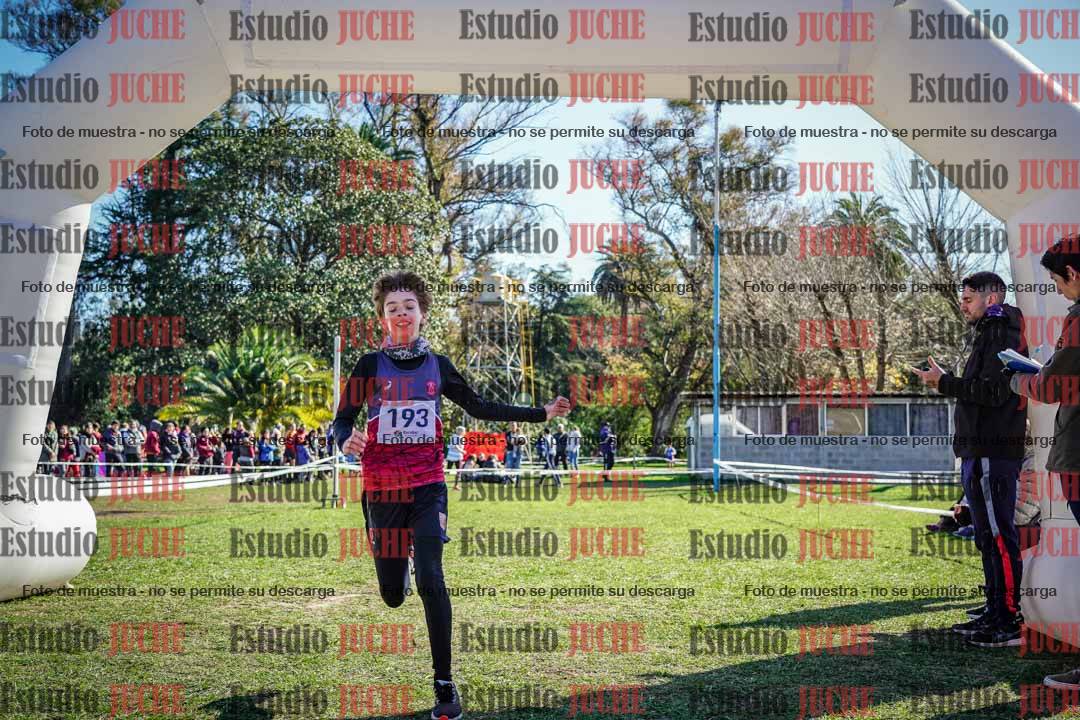 Fotos de la llegada del cross de 1500 m