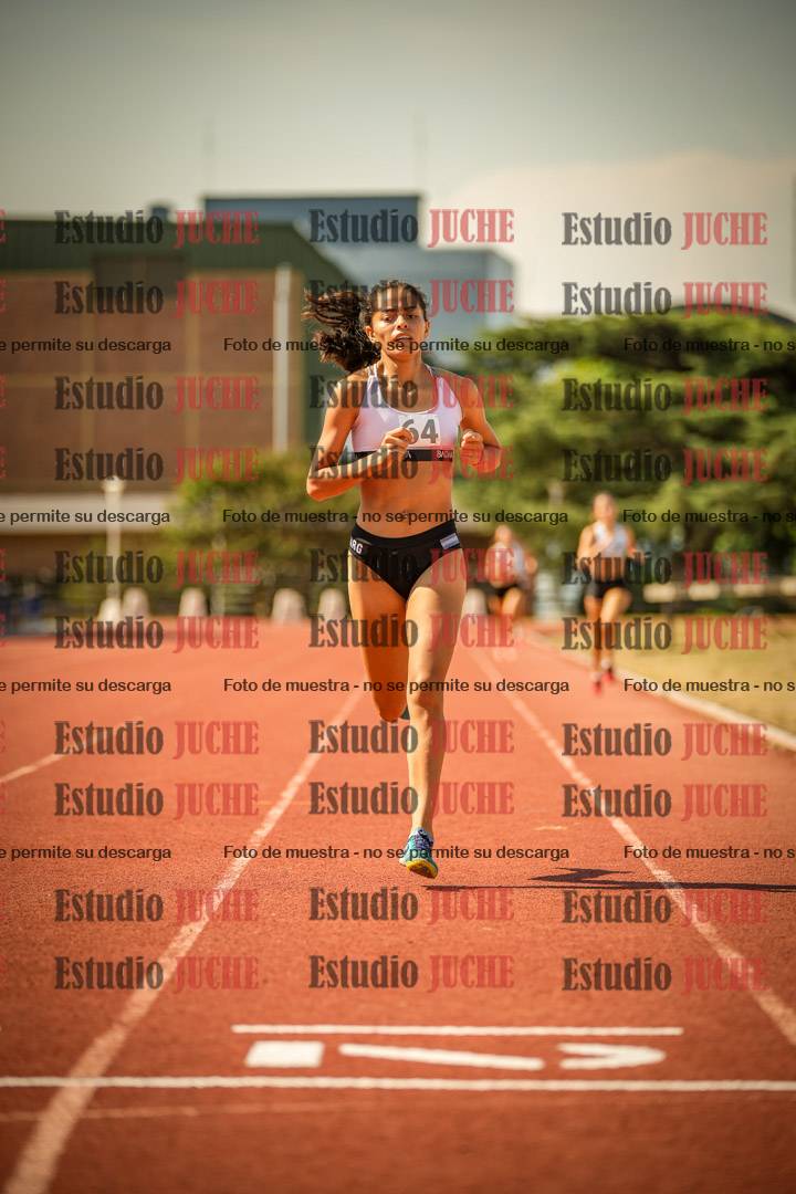 Fotos de los 800 m llanos de mujeres