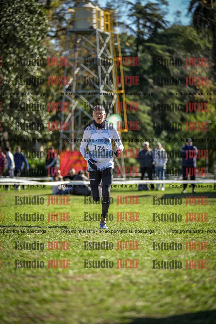 Fotos de la llegada del cross de 1500 m