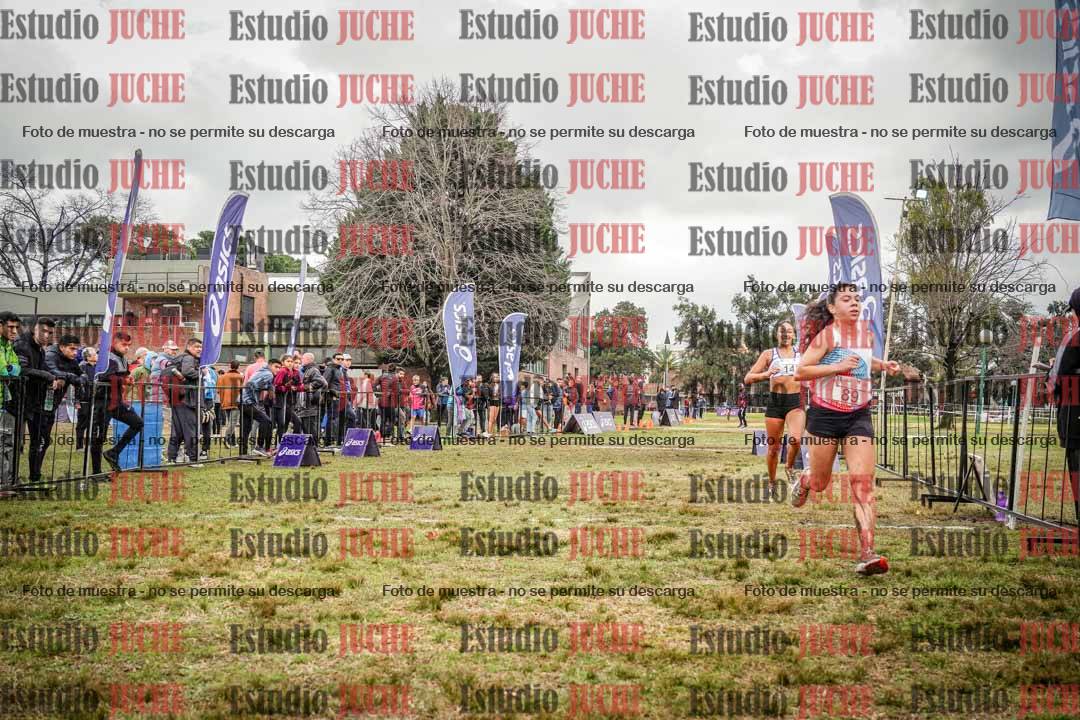 Fotos de la llegada