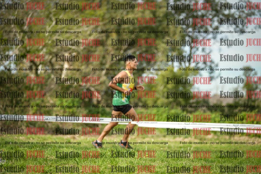 Fotos en el circuito
