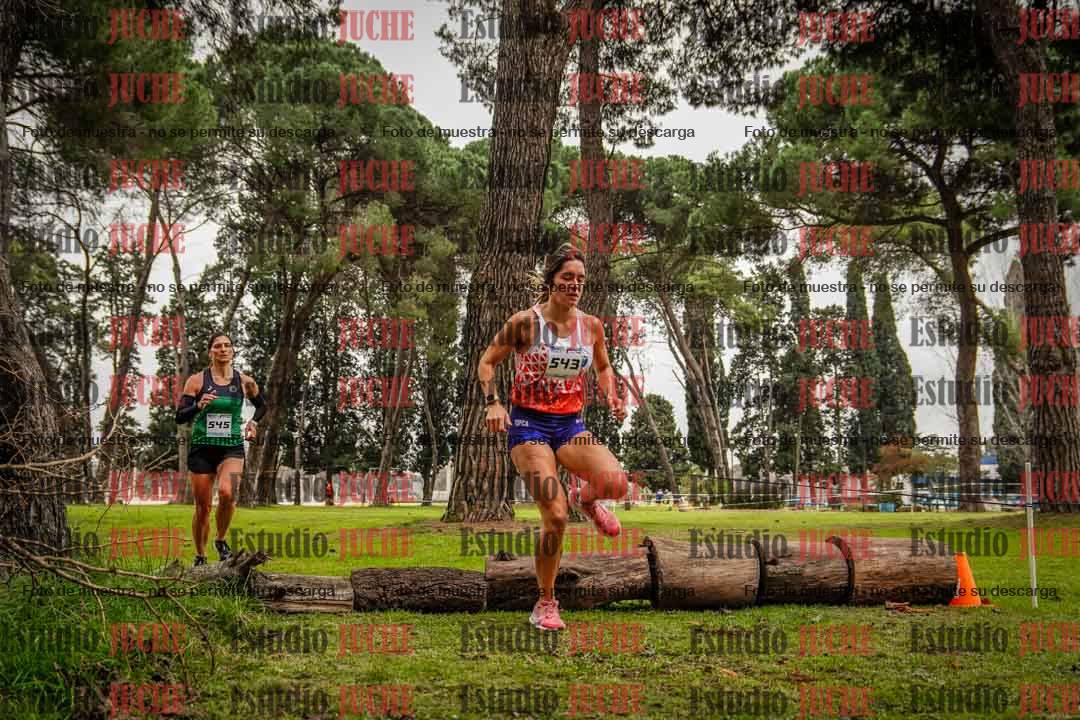 Fotos en el circuito