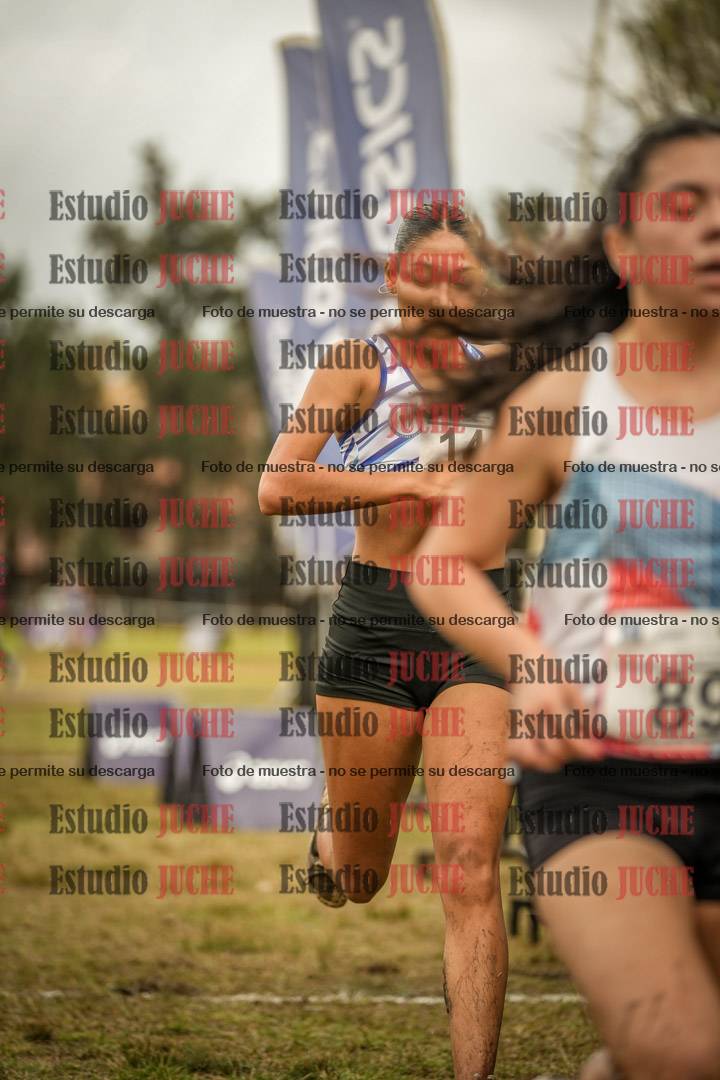 Fotos de la llegada