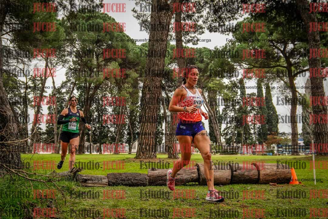 Fotos en el circuito