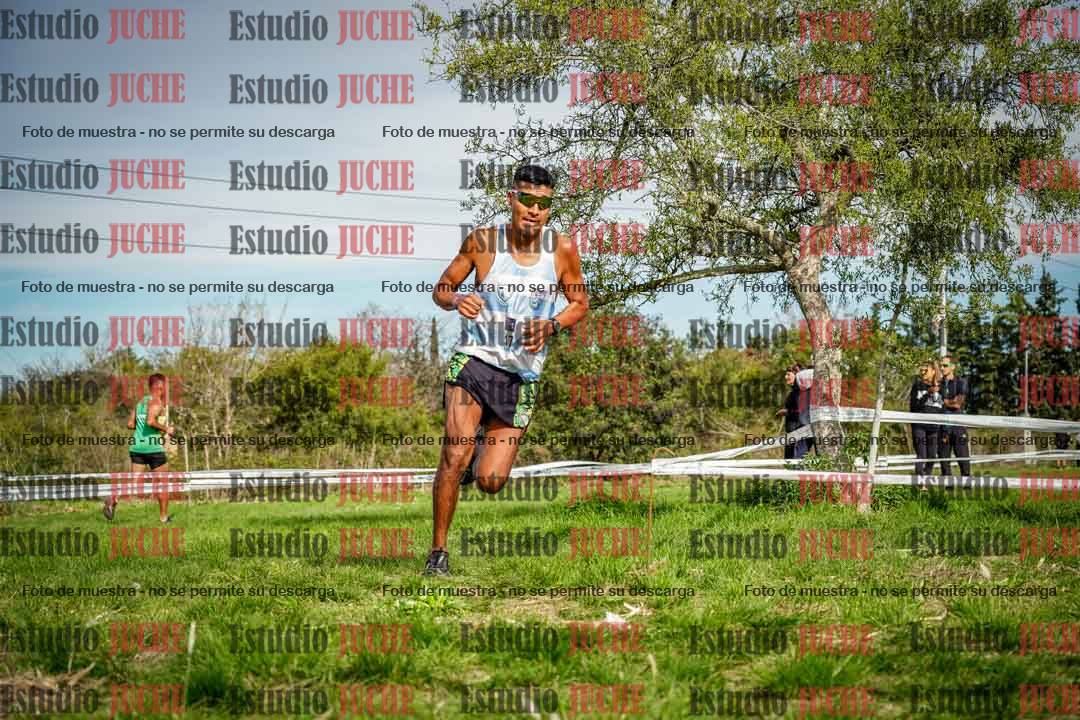 Fotos en el circuito