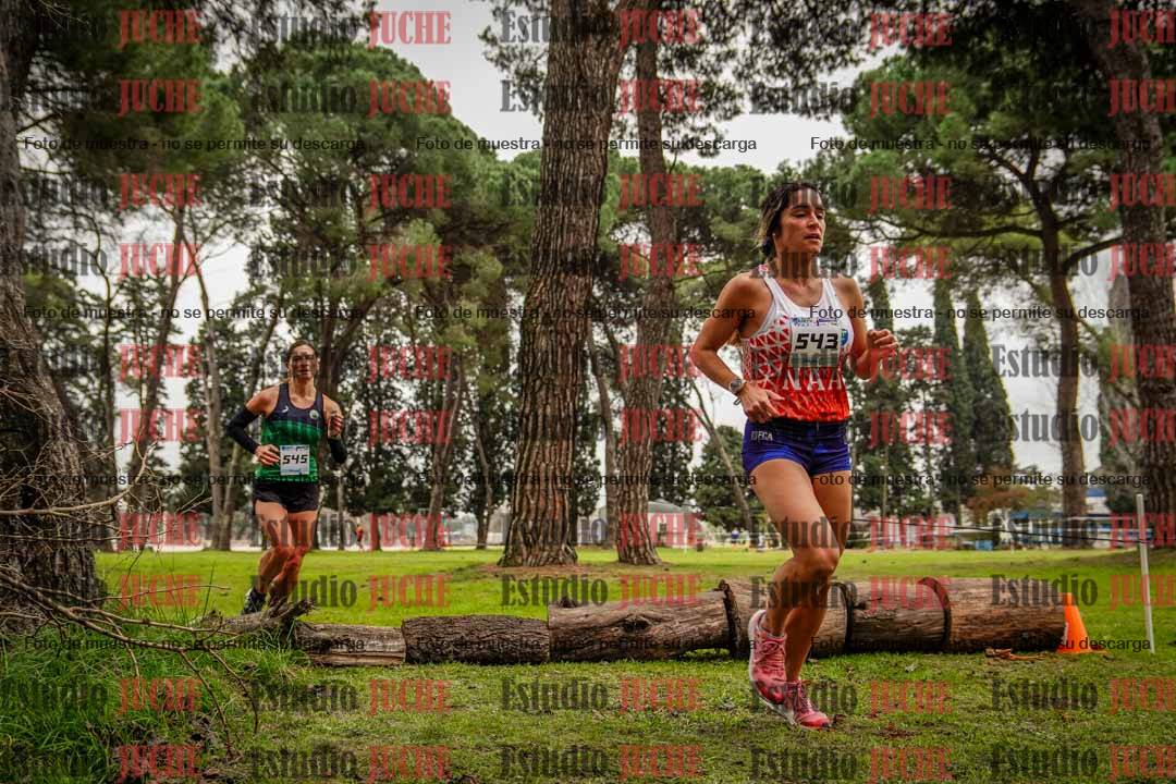 Fotos en el circuito