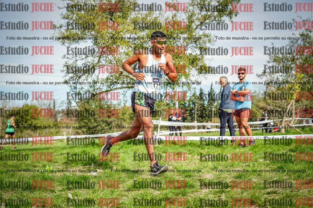 Fotos en el circuito
