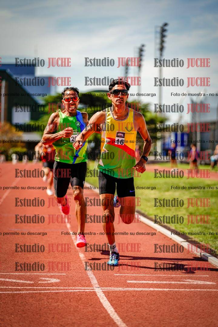 Fotos de los 800 m llanos de varones