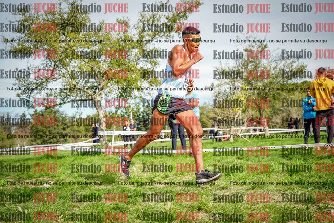 Fotos en el circuito