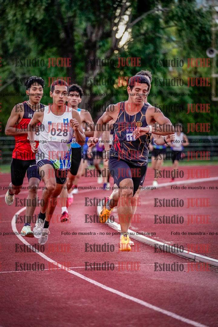 Fotos de los 1500 m llanos de varones