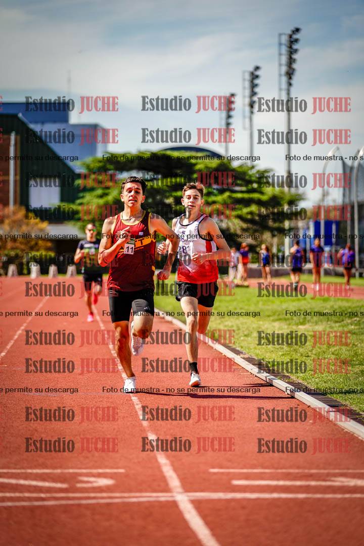 Fotos de los 800 m llanos de varones