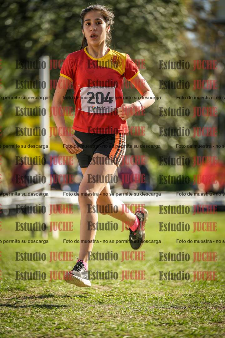 Fotos de la llegada del cross de 1500 m
