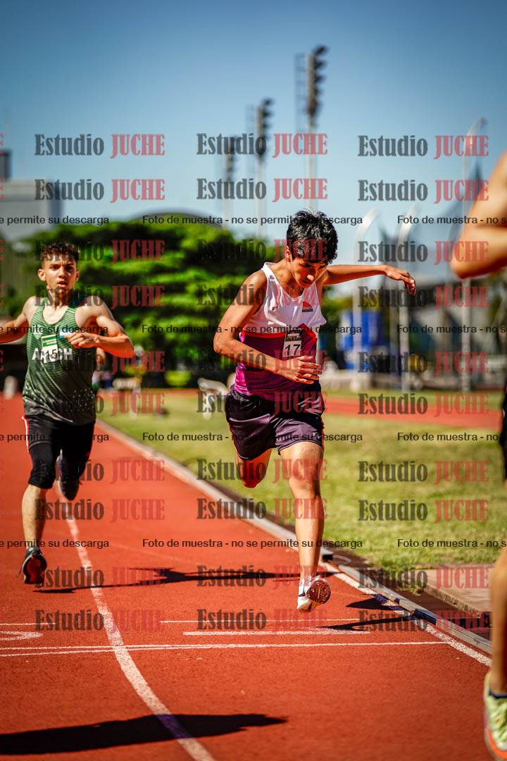 Fotos de los 800 m llanos de varones