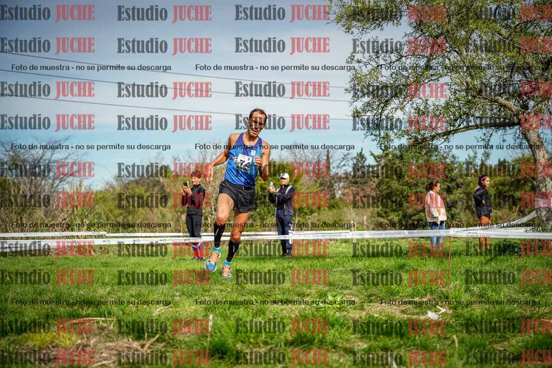 Fotos en el circuito