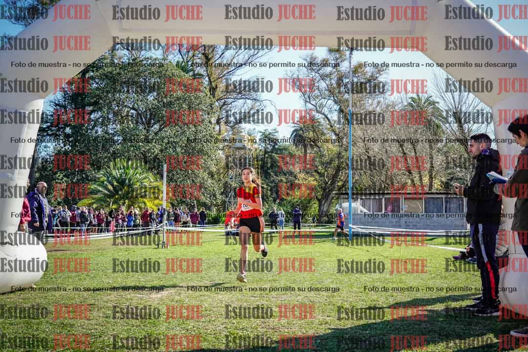 Fotos de la llegada del cross de 1500 m