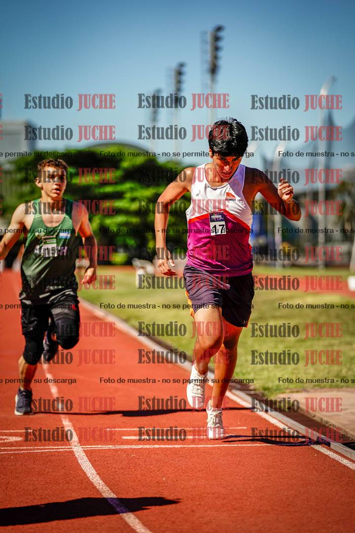 Fotos de los 800 m llanos de varones