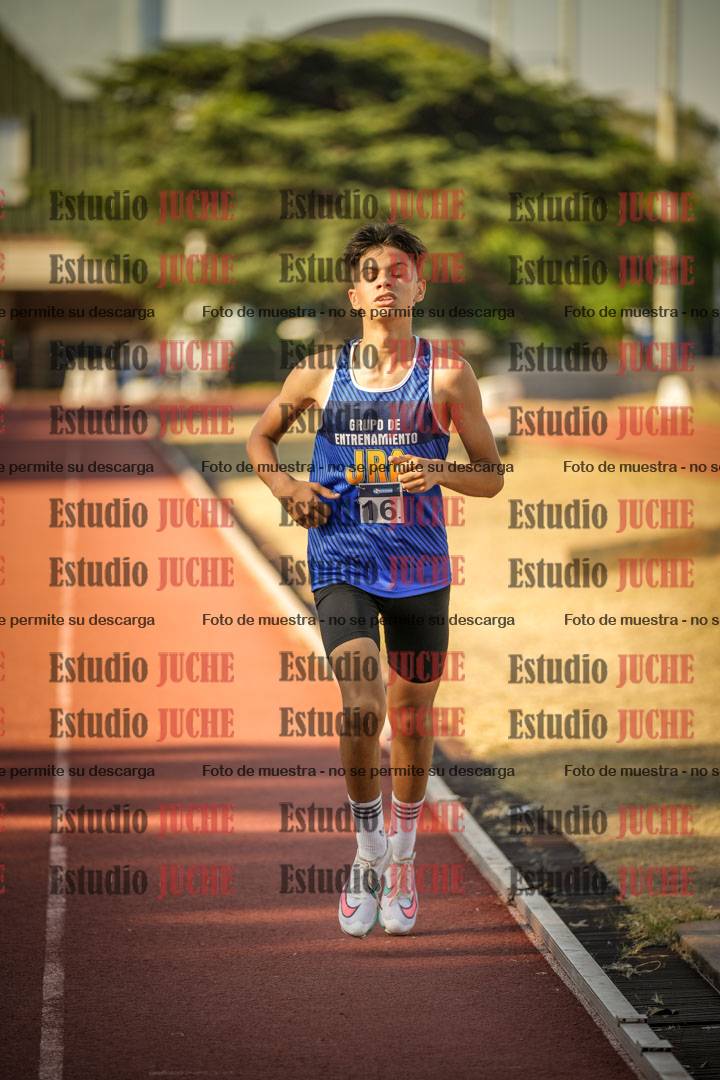 Fotos de los 800 m llanos de varones