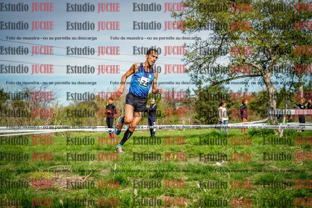 Fotos en el circuito