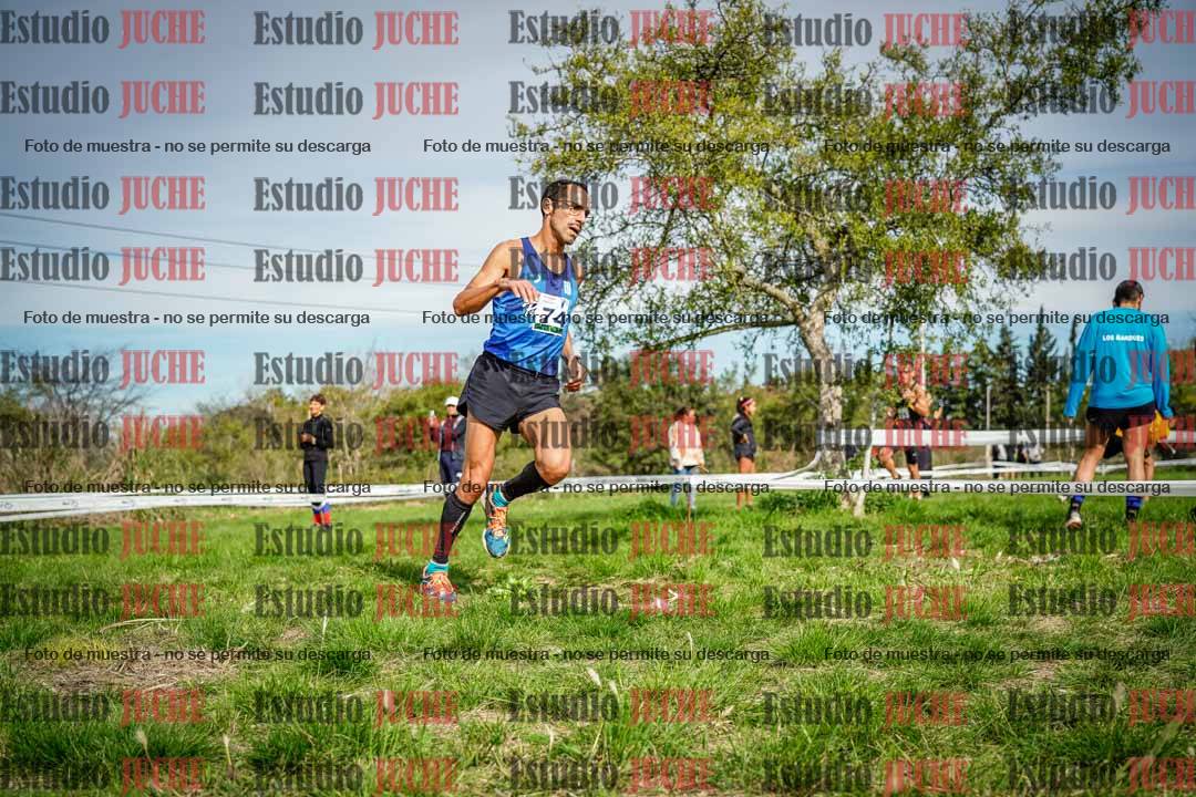 Fotos en el circuito
