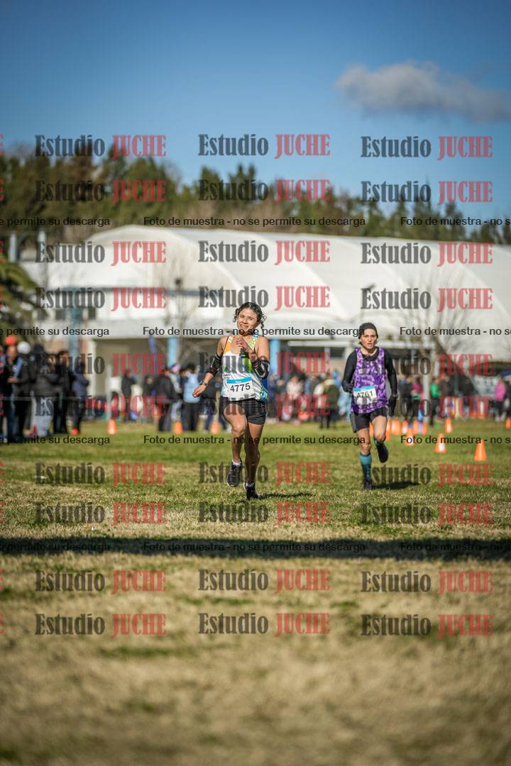 Fotos de las llegadas